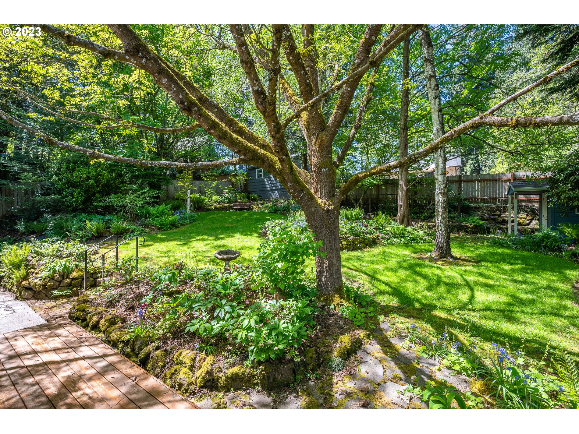 8201 Southwest 41st Avenue Portland, OR 97219 - Photo 18 of 23 a backyard of a house with lots of green space