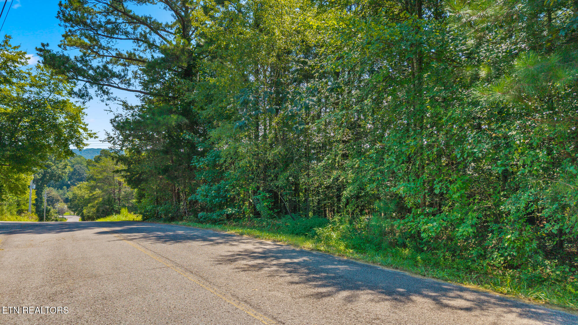 Lot 38 Dogwood Circle Decatur, TN 37322 - Photo 3 of 4 Lot 38 Dogwood Cir-2