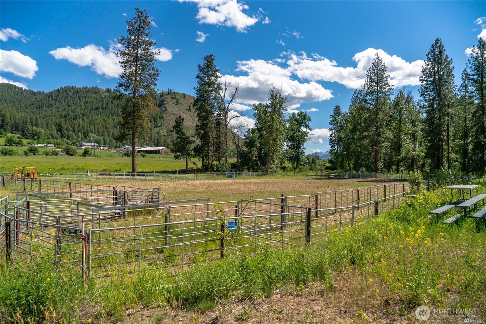 579 Eastside Chewuch Road Winthrop, WA 98862 - Photo 29 of 37 a view of a green filed