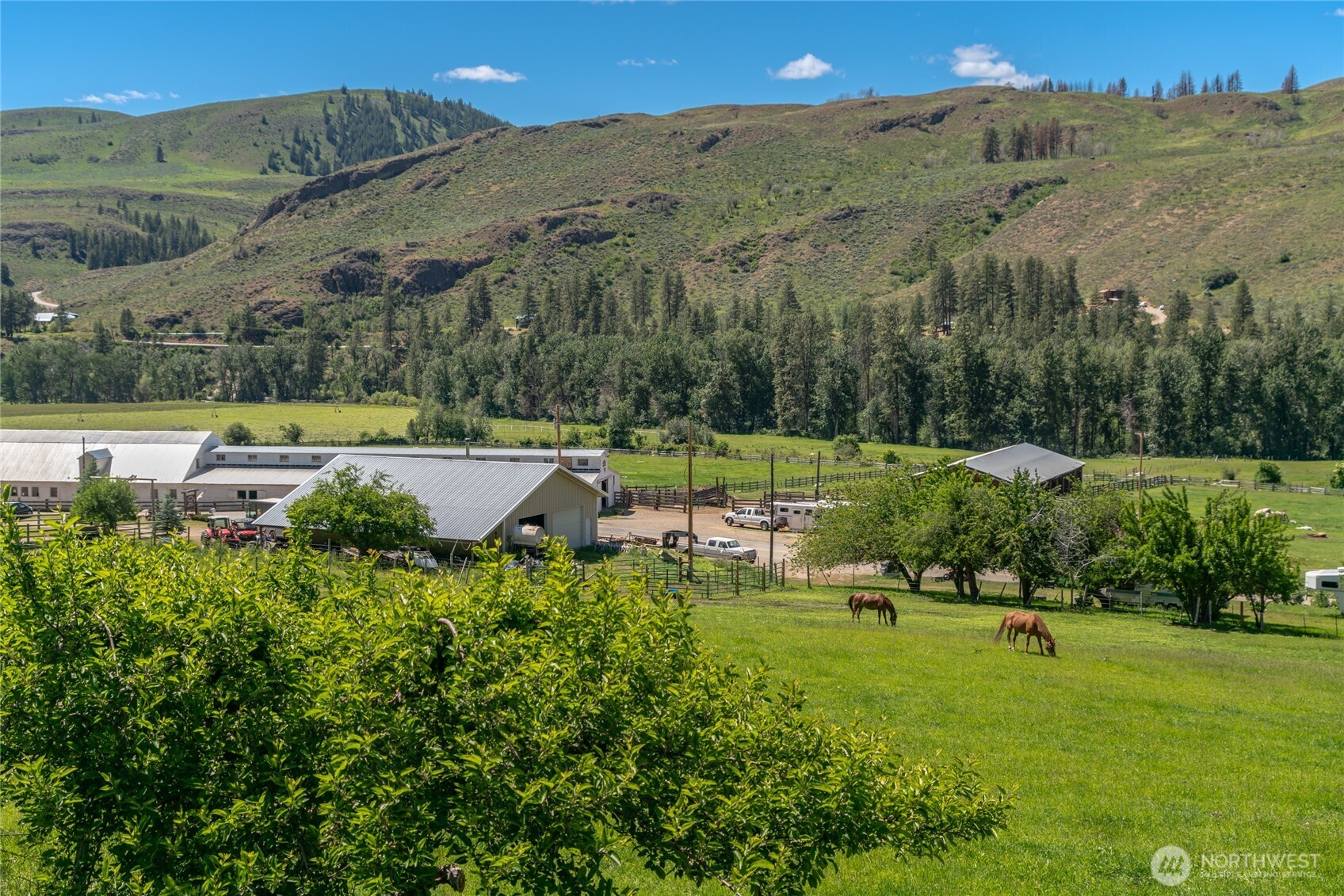 579 Eastside Chewuch Road Winthrop, WA 98862 - Photo 3 of 37 a view of a town with mountains in the background