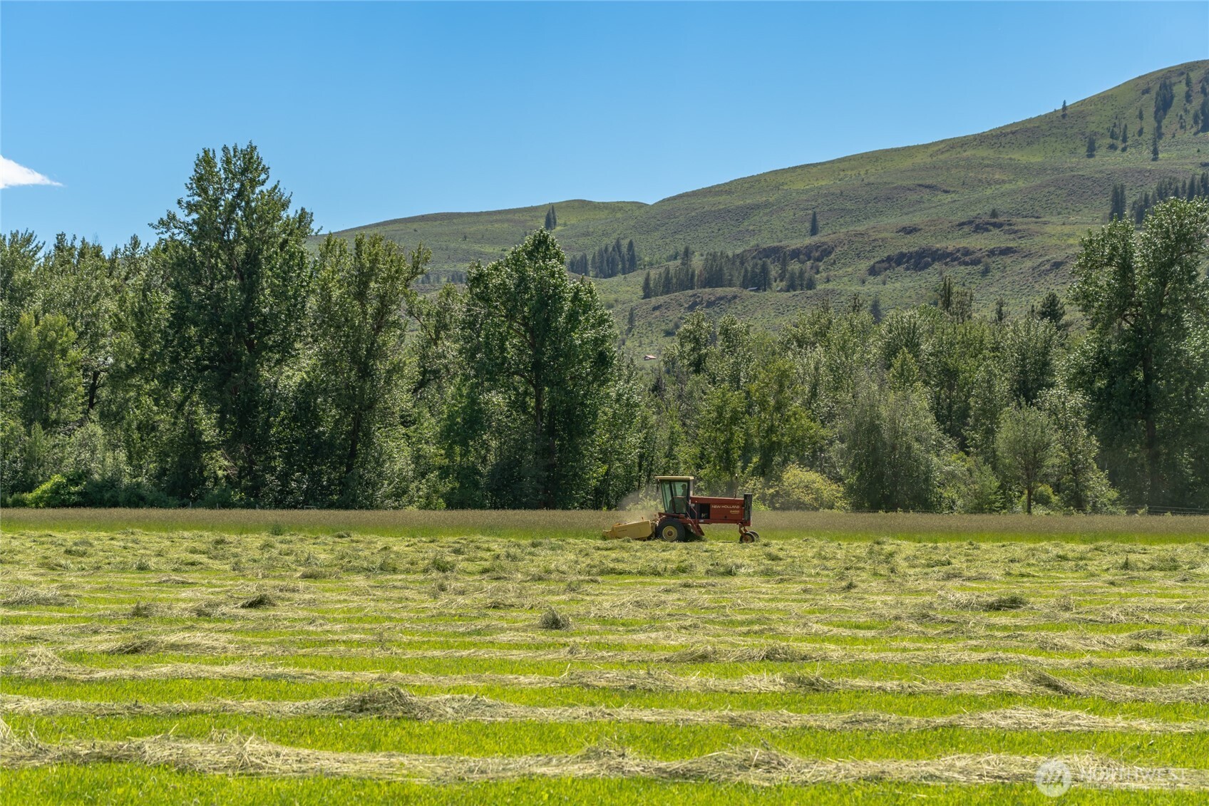 579 Eastside Chewuch Road Winthrop, WA 98862 - Photo 33 of 37 a view of a swimming pool with a yard