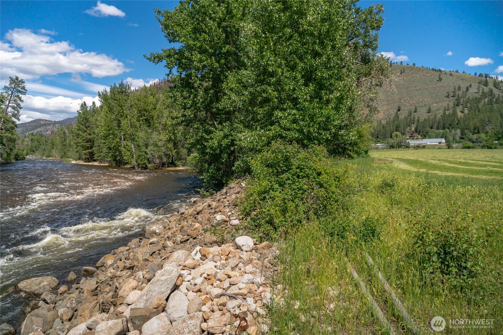 579 Eastside Chewuch Road Winthrop, WA 98862 - Photo 35 of 37 a view of a yard with plants