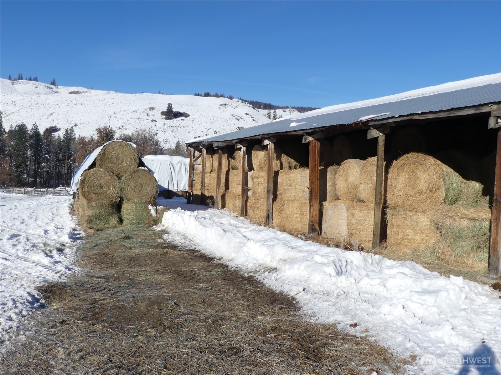 579 Eastside Chewuch Road Winthrop, WA 98862 - Photo 37 of 37 a view of a backyard