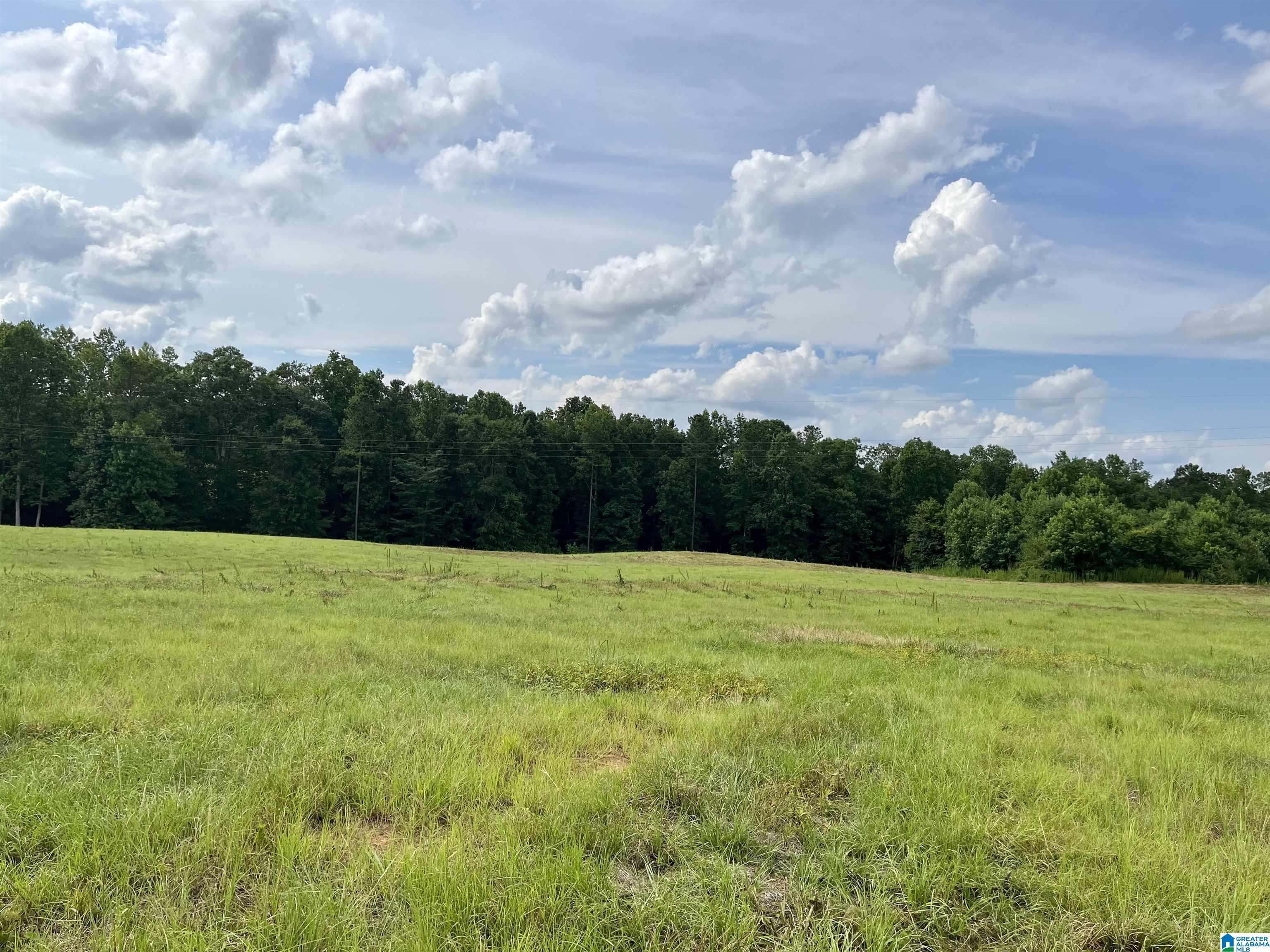 2917 Doublehead Road, Unit 170 ACRES Roanoke, AL 36274 - Photo 11 of 18