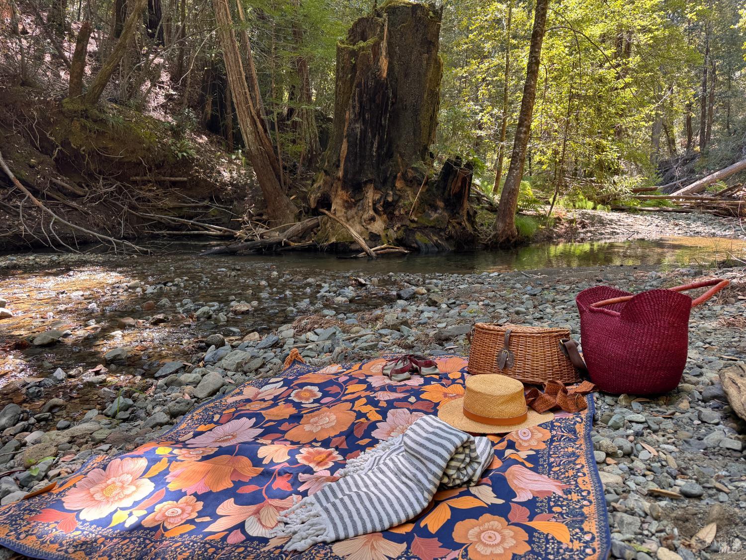 21530 Fort Ross Road Cazadero, CA 95421 - Photo 23 of 56 Picnic along Ward Creek