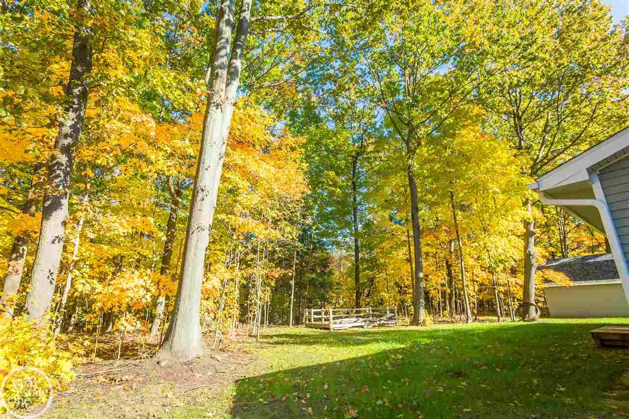 7179 Townsend Road Applegate, MI 48401 - Photo 21 of 77
