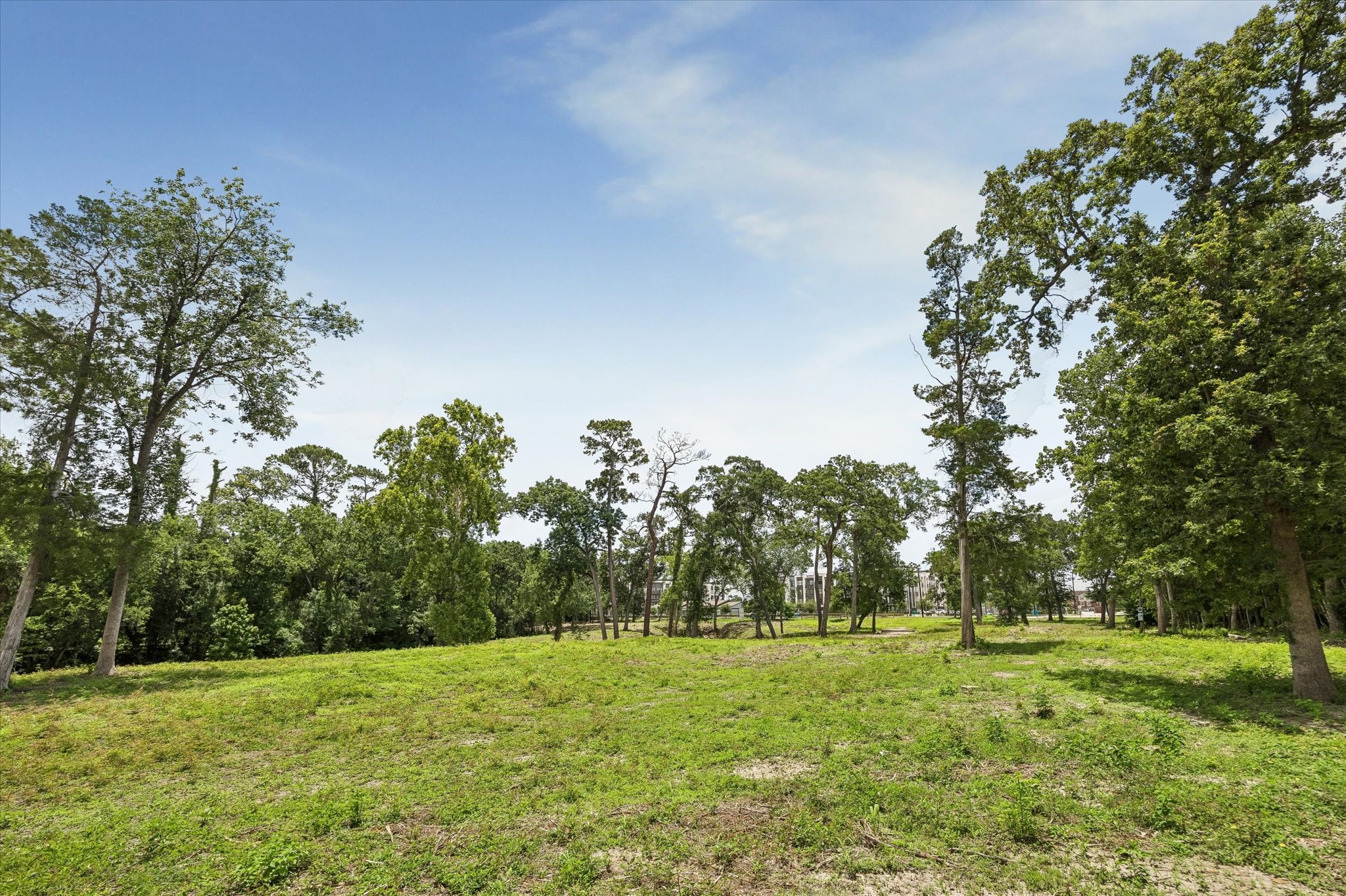 0 Deerwood Road Houston, TX 77042 - Photo 7 of 9