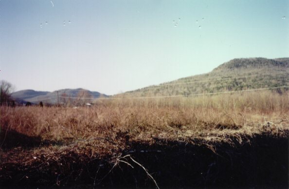 140 Coppinger Cove Road Sequatchie, TN 37374 - Photo 1 of 1 Primary Photo
