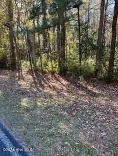 427 Bell Point Road Merritt, NC 28556 - Photo 15 of 20 tempImageSvARV8