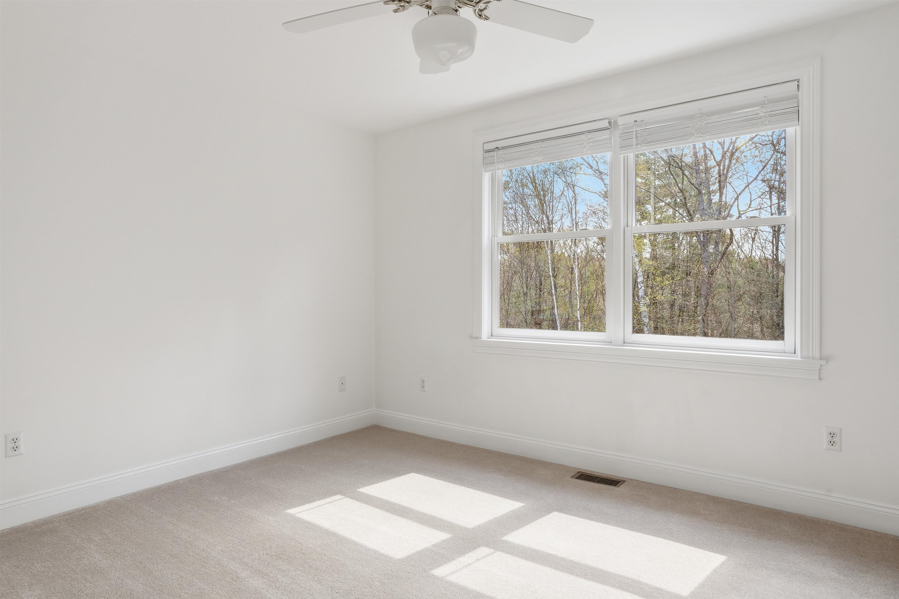 43 Bassett Lane Newfields, NH 03856 - Photo 38 of 56