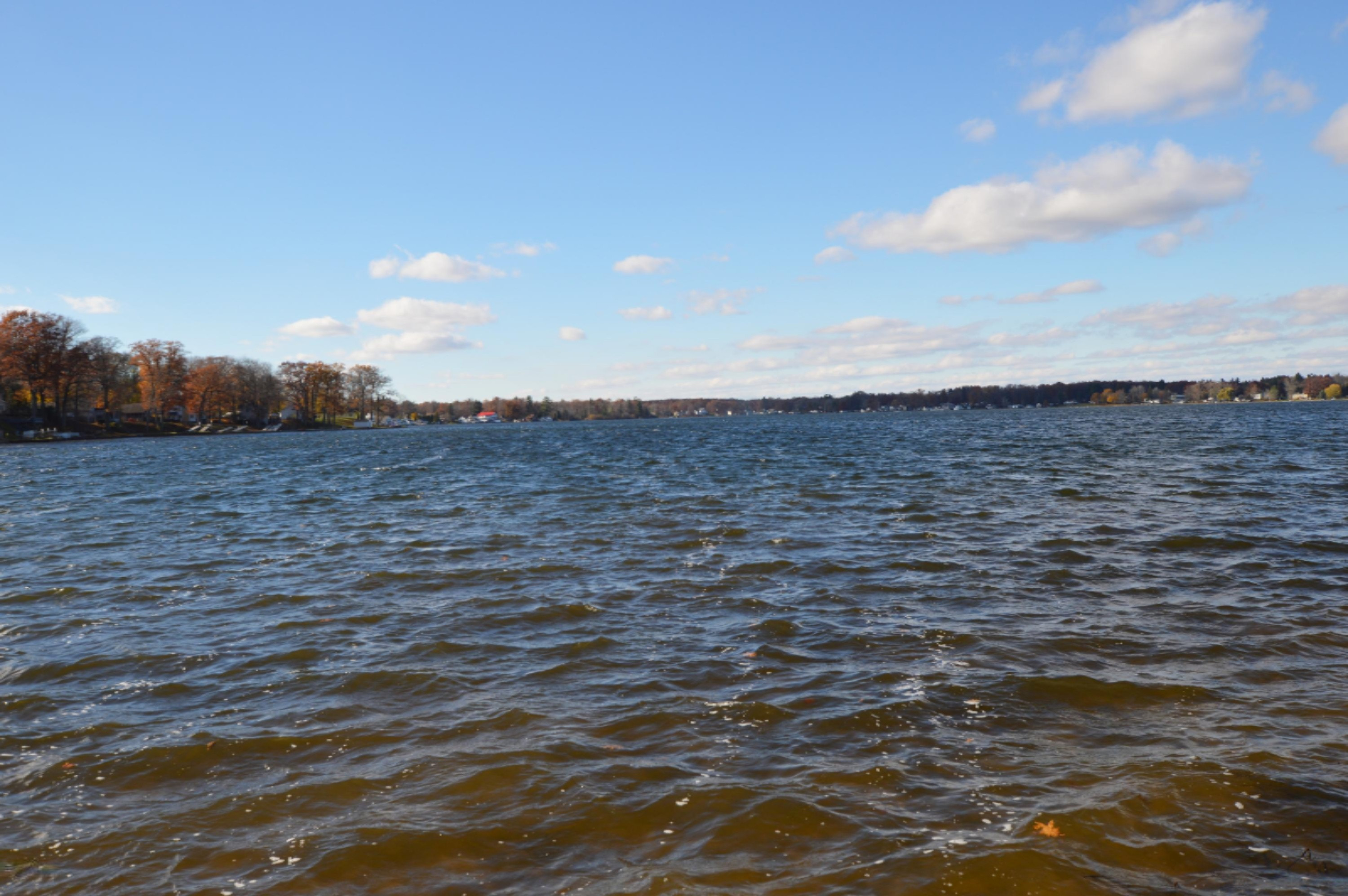 8207 Branch Road Orleans, MI 48865 - Photo 23 of 28 DSC_0317