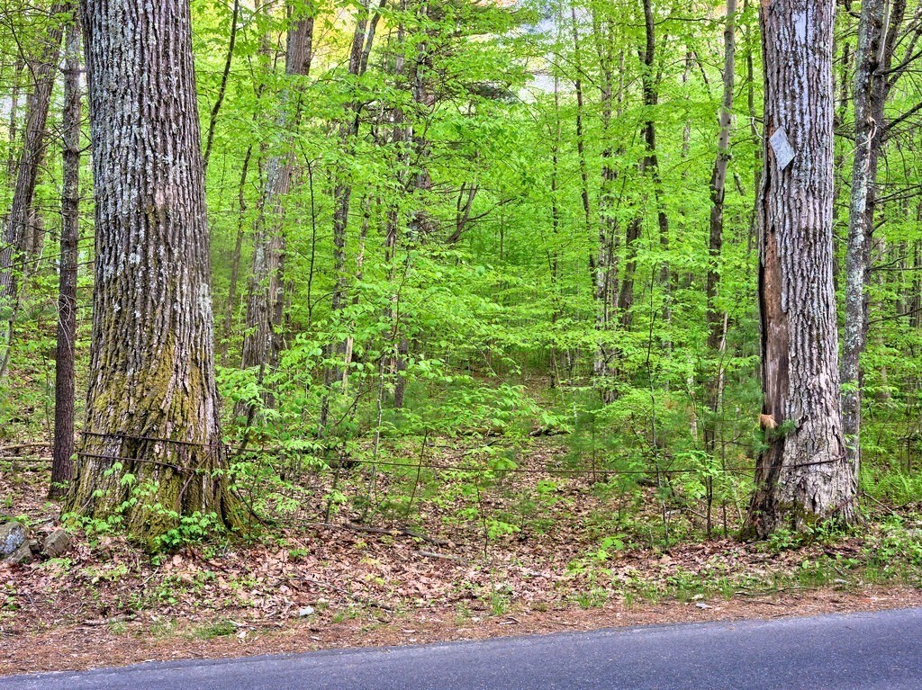 0 East Hill Road Monson, MA 01057 - Photo 3 of 23 Gallery Image 3