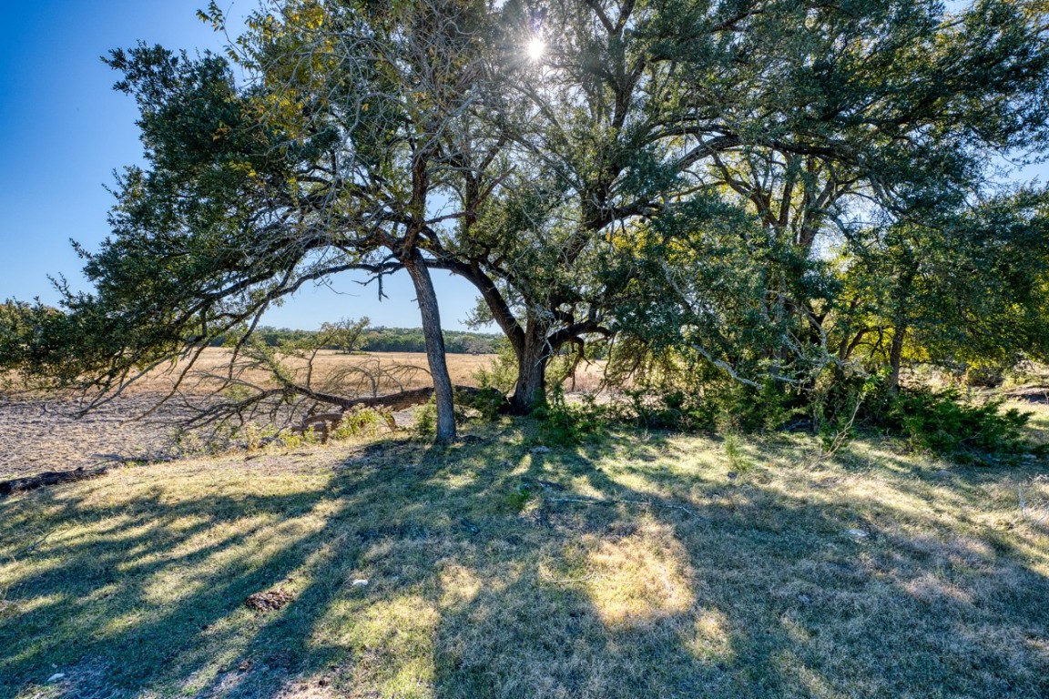 20949 Firefly Road Salado, TX 76571 - Photo 16 of 25 a backyard of a house with lots of green space