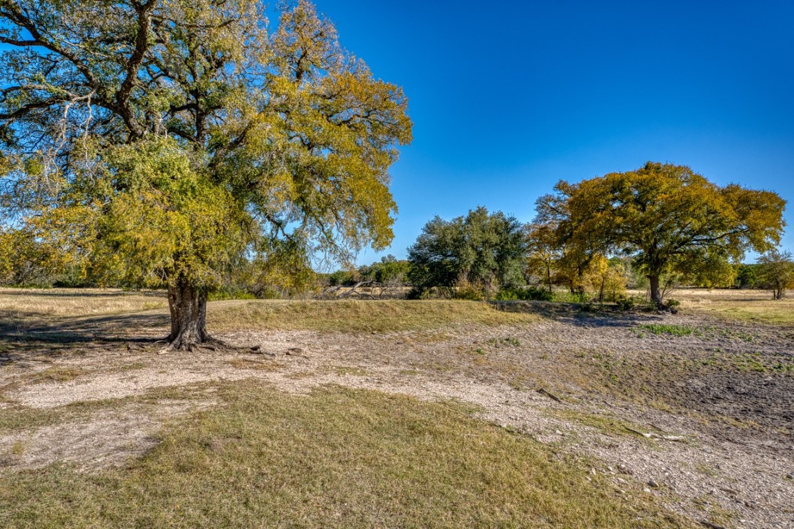20949 Firefly Road Salado, TX 76571 - Photo 18 of 25 a view of backyard with green space