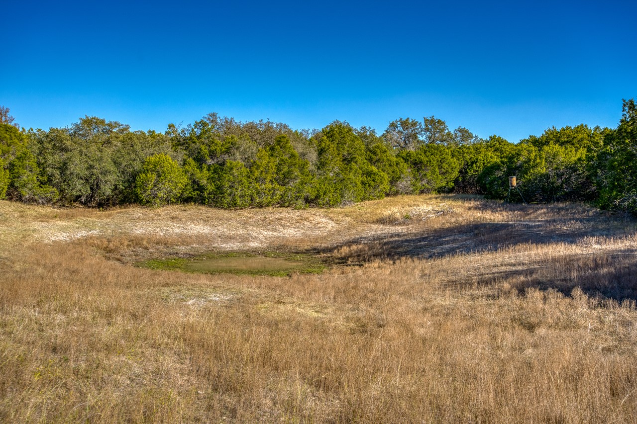 20949 Firefly Road Salado, TX 76571 - Photo 20 of 25 a view of a field with large trees