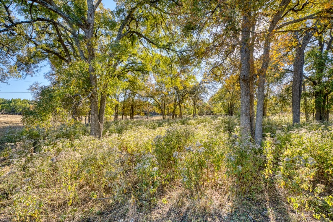 20949 Firefly Road Salado, TX 76571 - Photo 6 of 25 a yard with yellow house