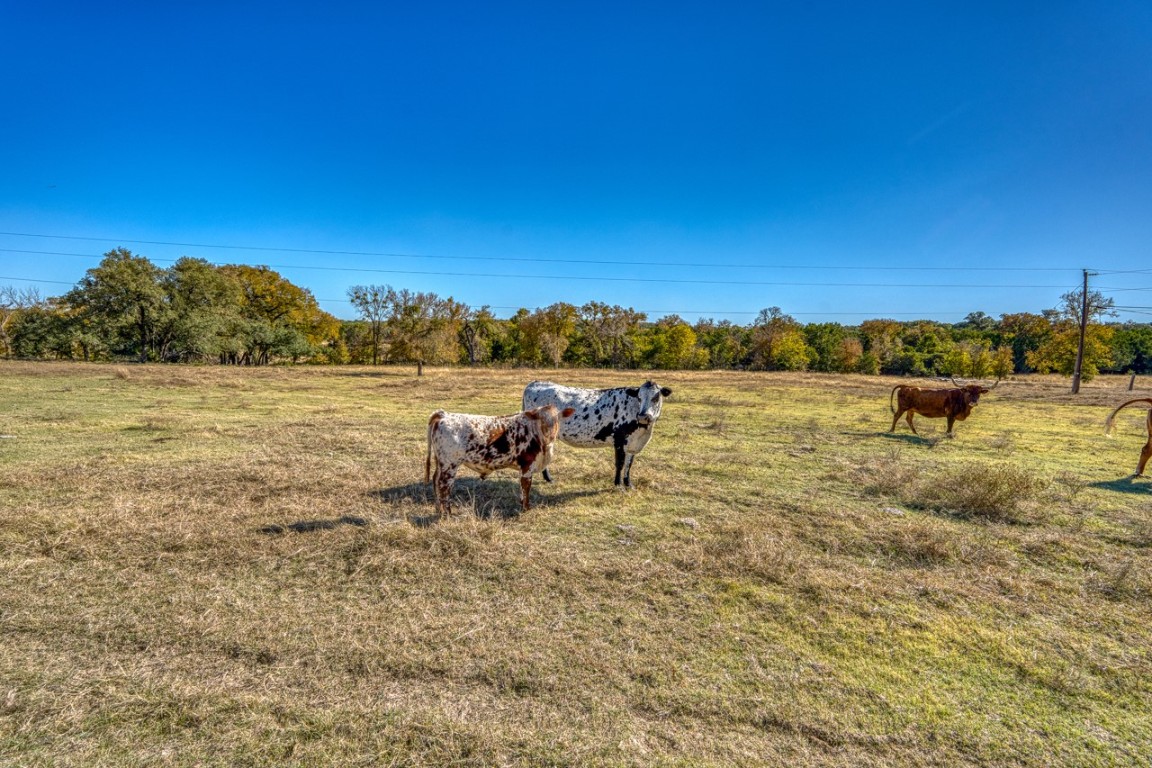 20949 Firefly Road Salado, TX 76571 - Photo 9 of 25