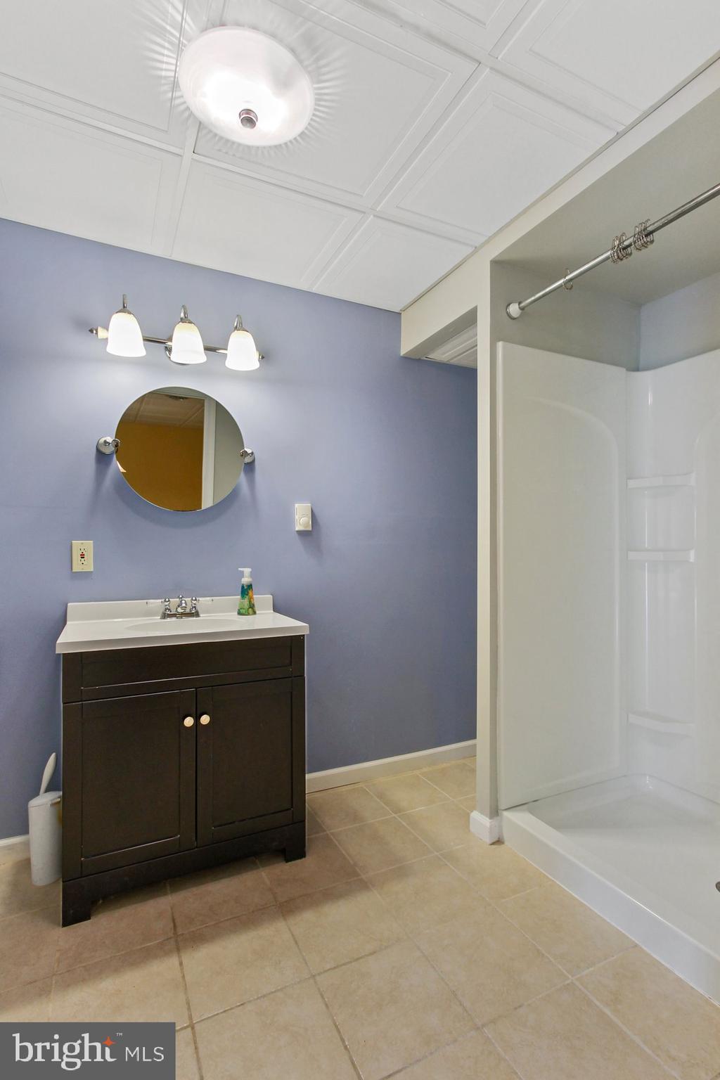 4205 Blue Hill Road Hanover, PA 17331 - Photo 39 of 68 Basement Full Bath