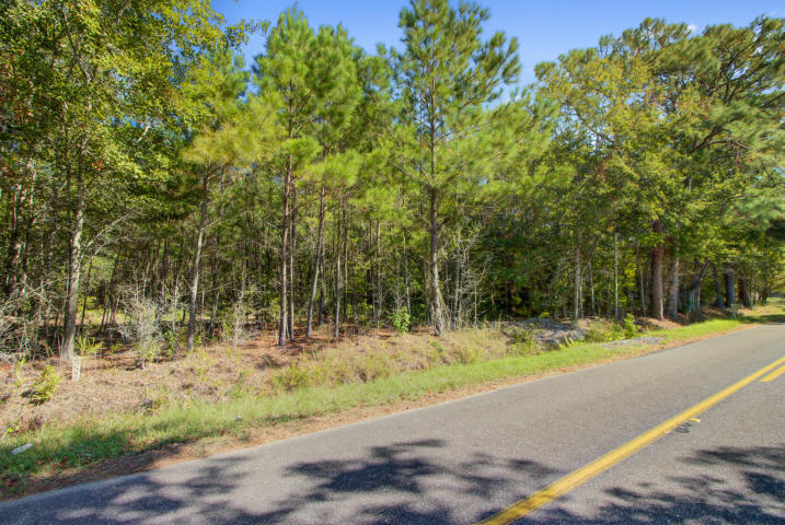 0 Theodore Road Awendaw, SC 29429 - Photo 1 of 1 0theodoretherightone