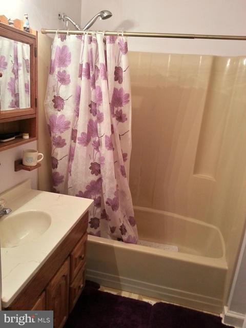 6003 Hill Road St. Leonard, MD 20685 - Photo 7 of 19 a bathroom with a sink and a bathtub