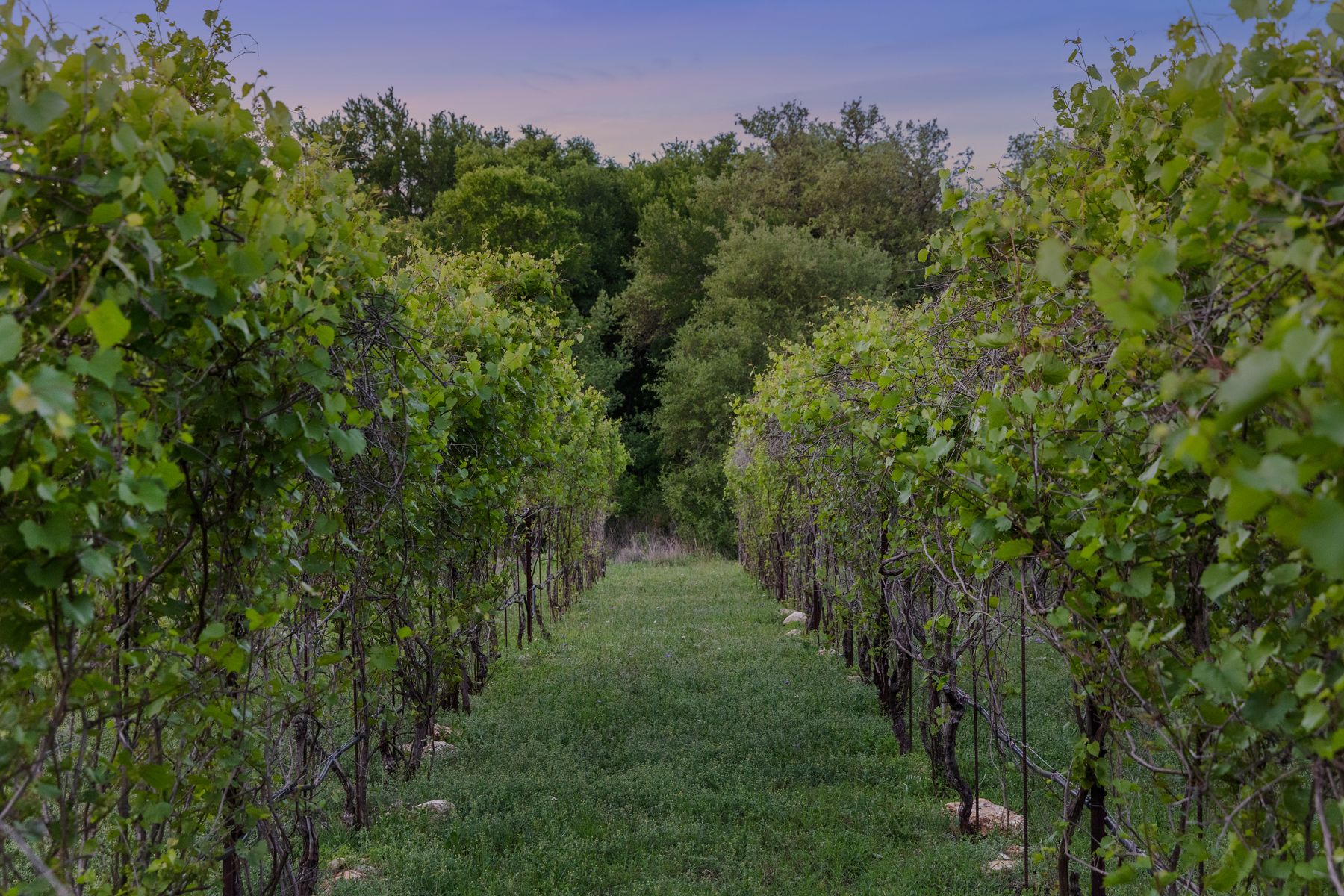 18059 Ranch To Market Road 1826 Buda, TX 78610 - Photo 12 of 39