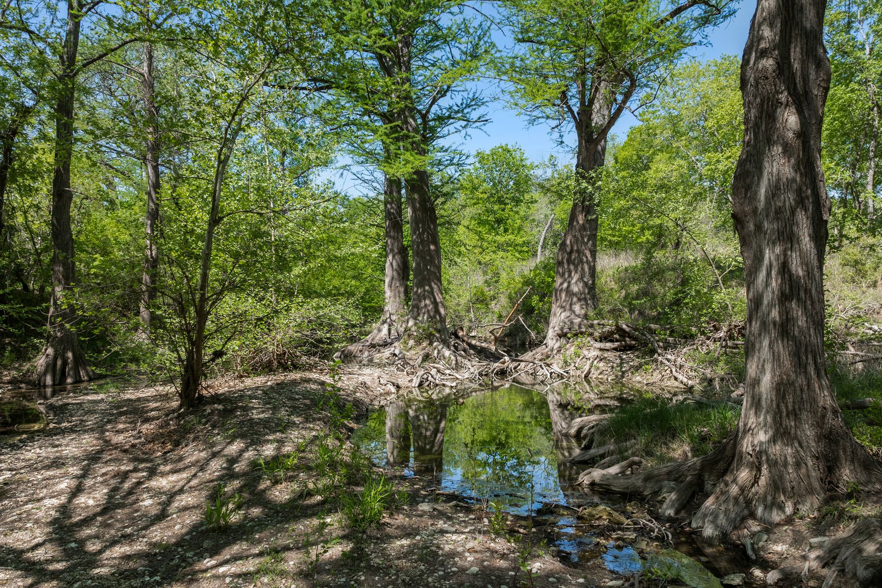 18059 Ranch To Market Road 1826 Buda, TX 78610 - Photo 14 of 39 View of undeveloped land