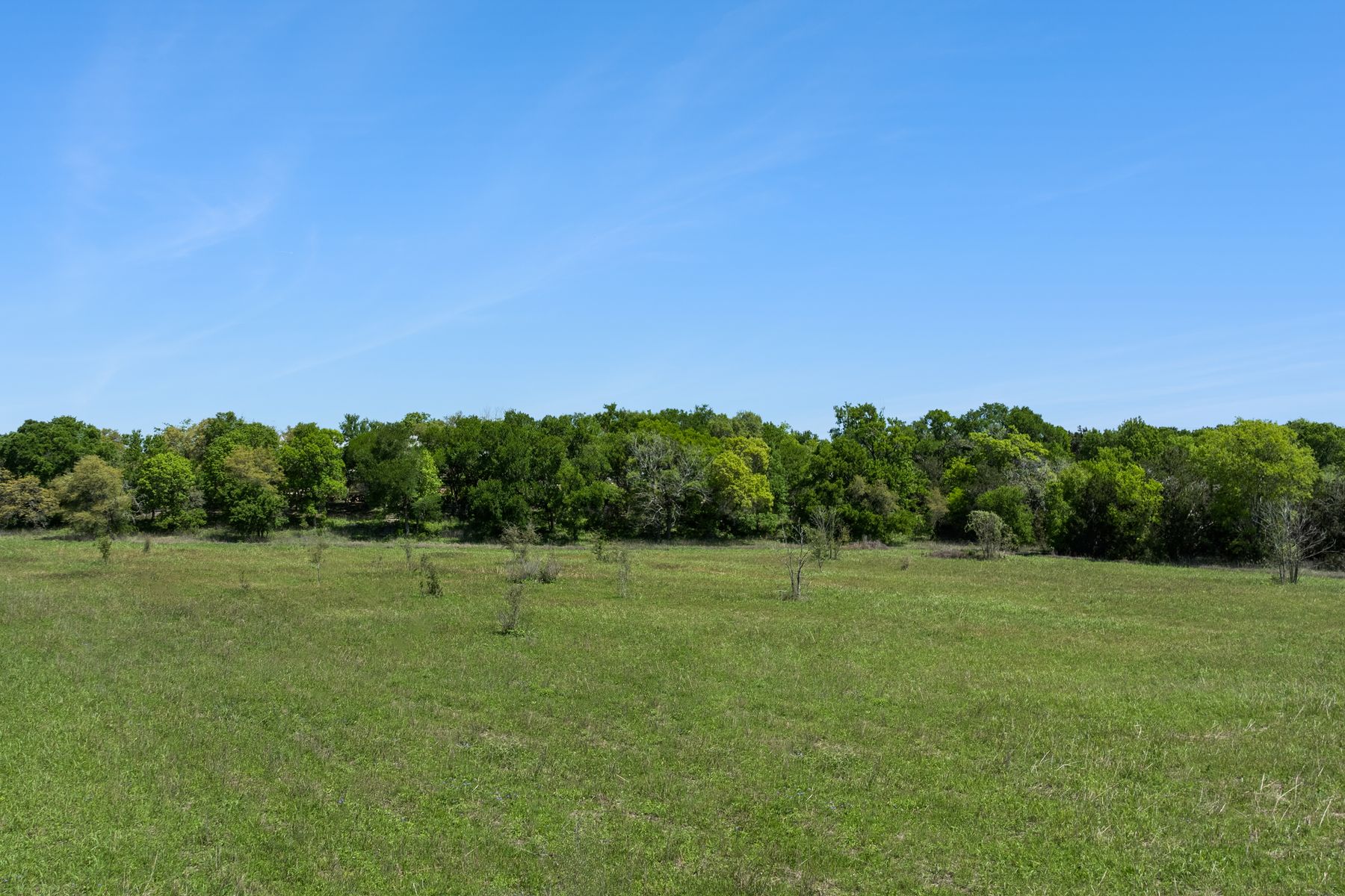 18059 Ranch To Market Road 1826 Buda, TX 78610 - Photo 16 of 39 View of grassy yard with a rural view