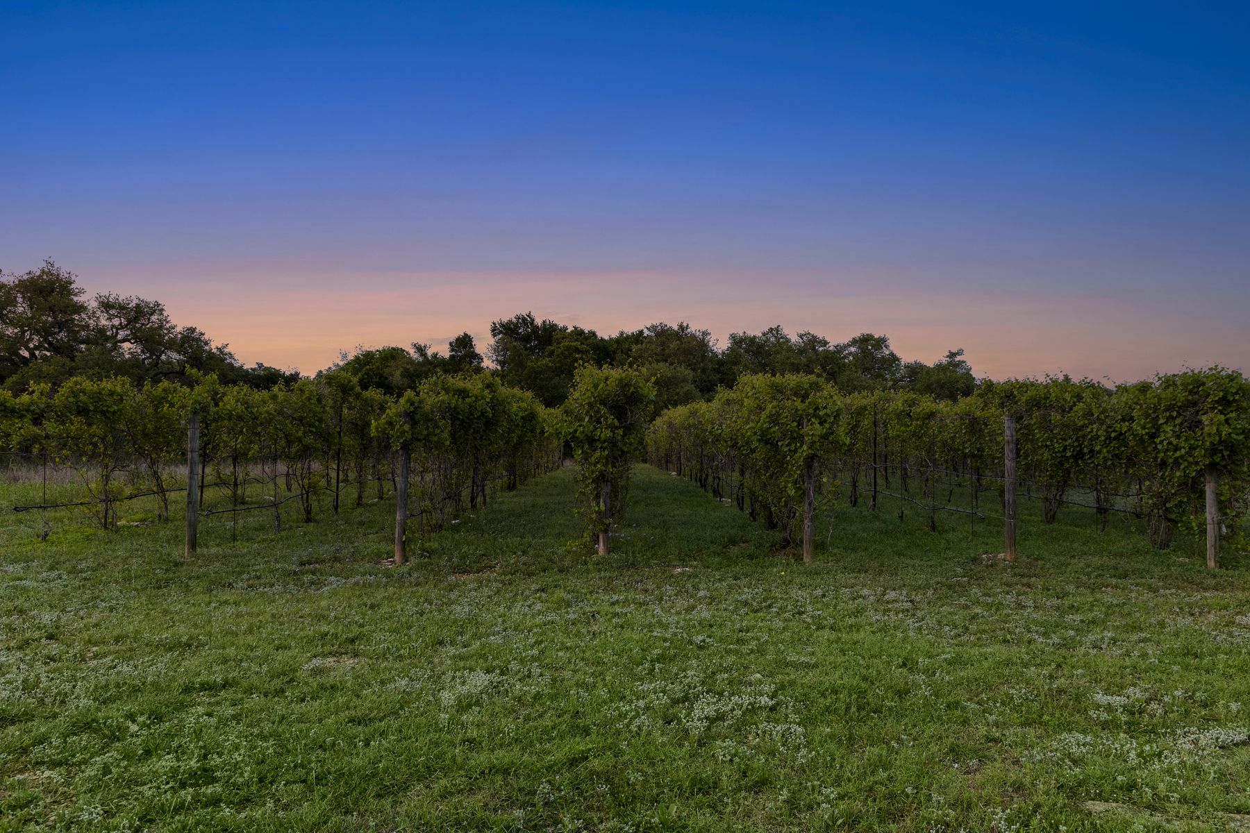 18059 Ranch To Market Road 1826 Buda, TX 78610 - Photo 39 of 39 View of nature with rural landscape