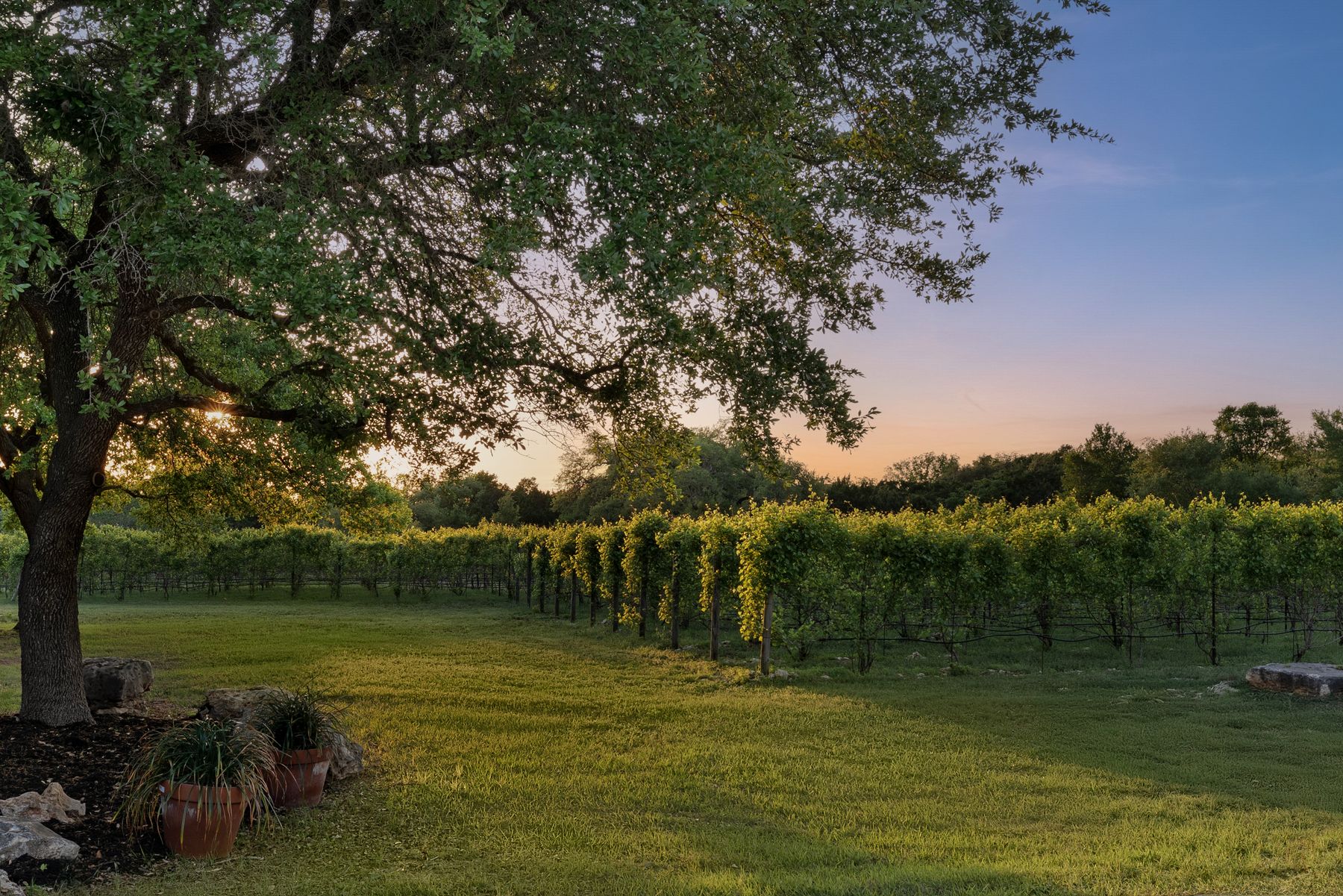 18059 Ranch To Market Road 1826 Buda, TX 78610 - Photo 9 of 39 Yard at dusk featuring a yard, a rural view, and agricultural plots