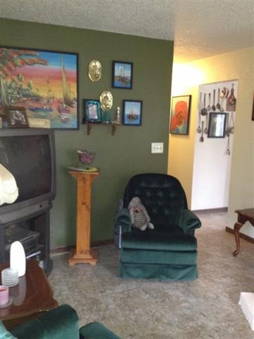 242 Erkkila Road Esko, MN 55733 - Photo 3 of 12 Gallery Image 3