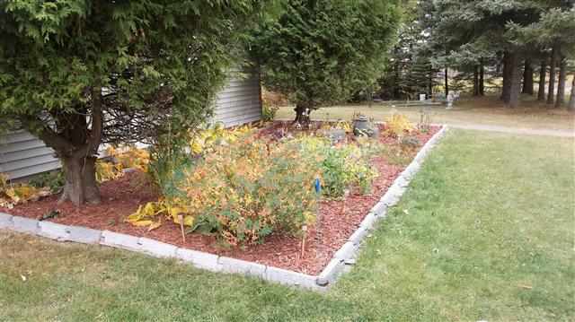 242 Erkkila Road Esko, MN 55733 - Photo 9 of 12 Gallery Image 9