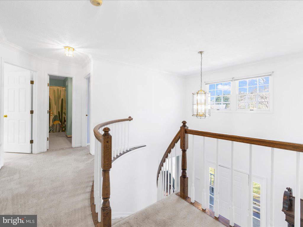 919 Metfield Road Towson, MD 21286 - Photo 18 of 38