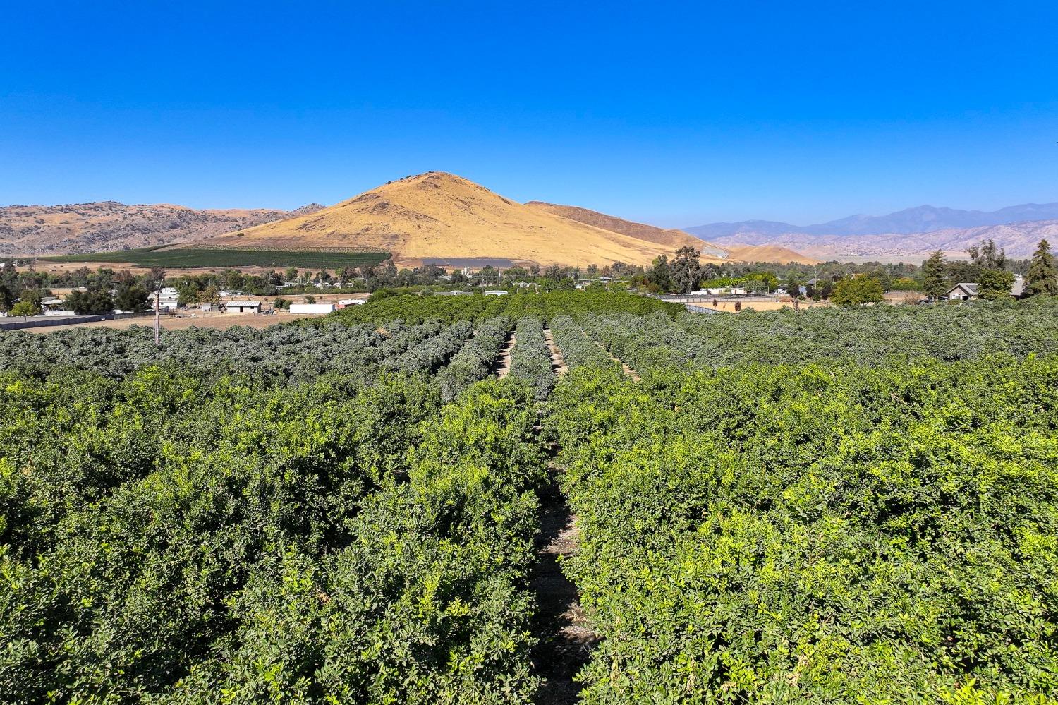 0 Road 284 Porterville, CA 93257 - Photo 3 of 12