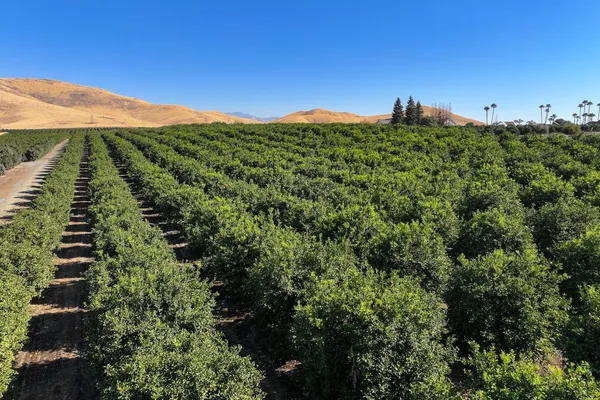 $1,380,000 | 0 Road 284, Porterville, CA 93257