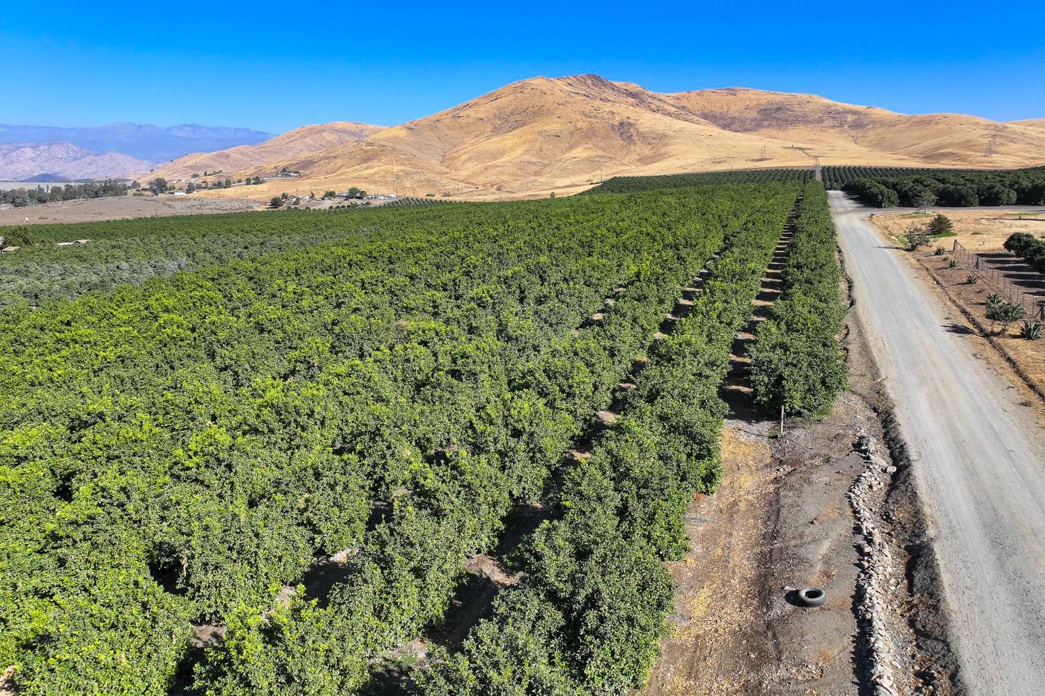 0 Road 284 Porterville, CA 93257 - Photo 5 of 12