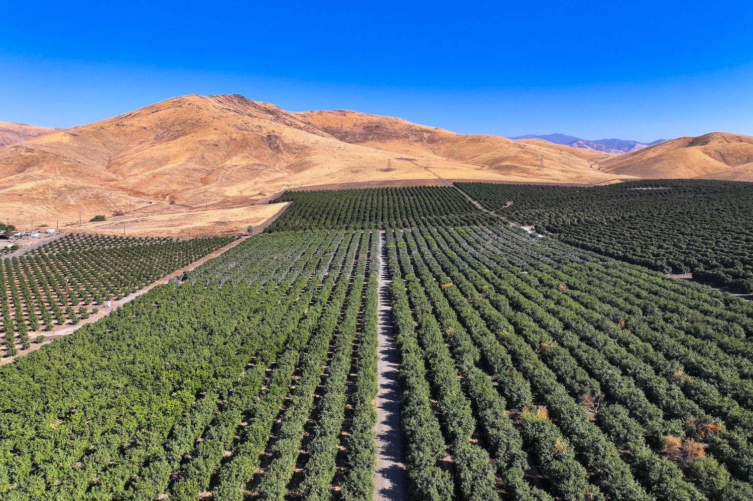 0 Road 284 Porterville, CA 93257 - Photo 6 of 12 a view of a yard