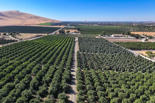 $1,380,000 | 0 Road 284, Porterville, CA 93257