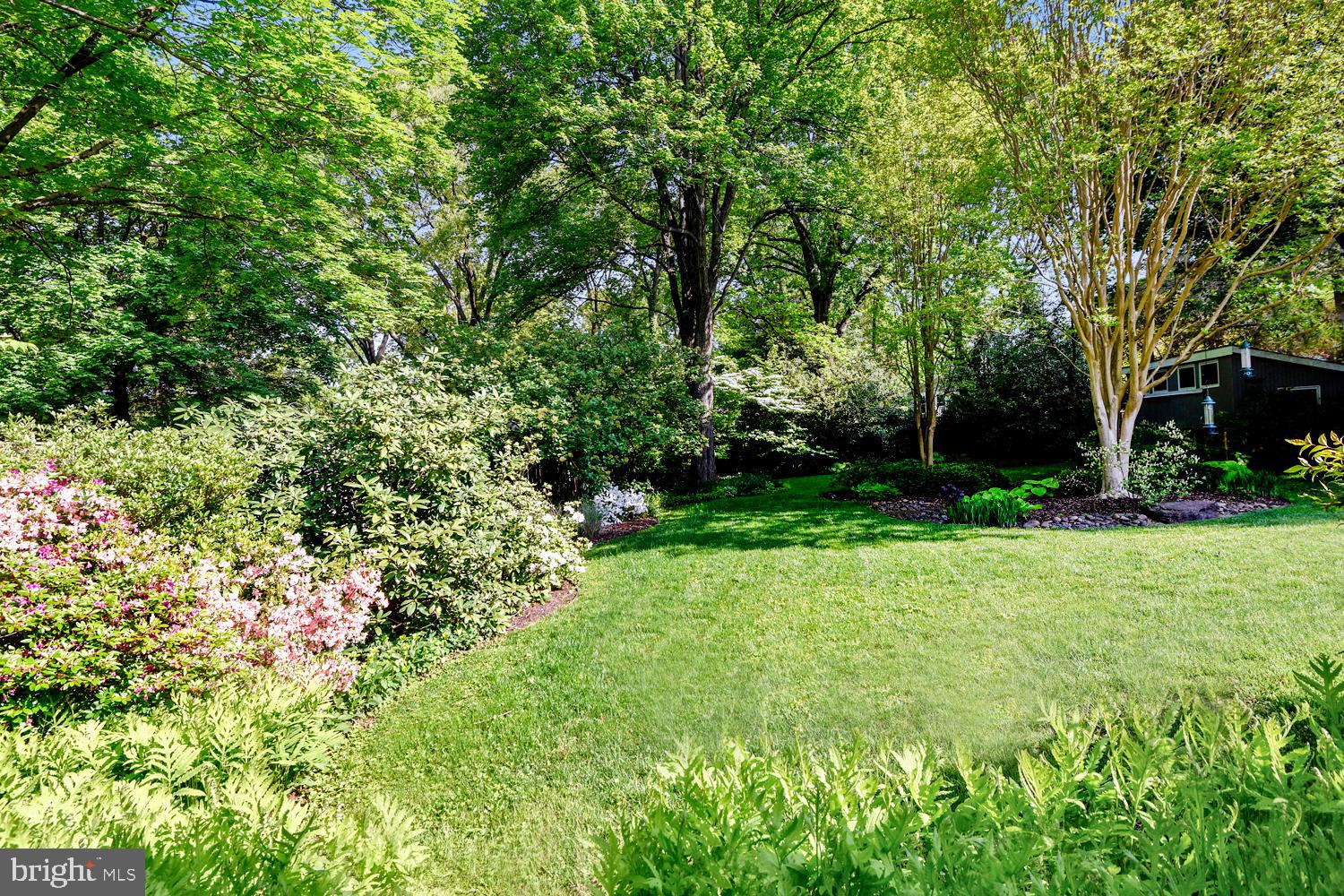 1606 Cedar Park Road Annapolis, MD 21401 - Photo 3 of 46 Verdant Views of Beautifully Cultivated Yard