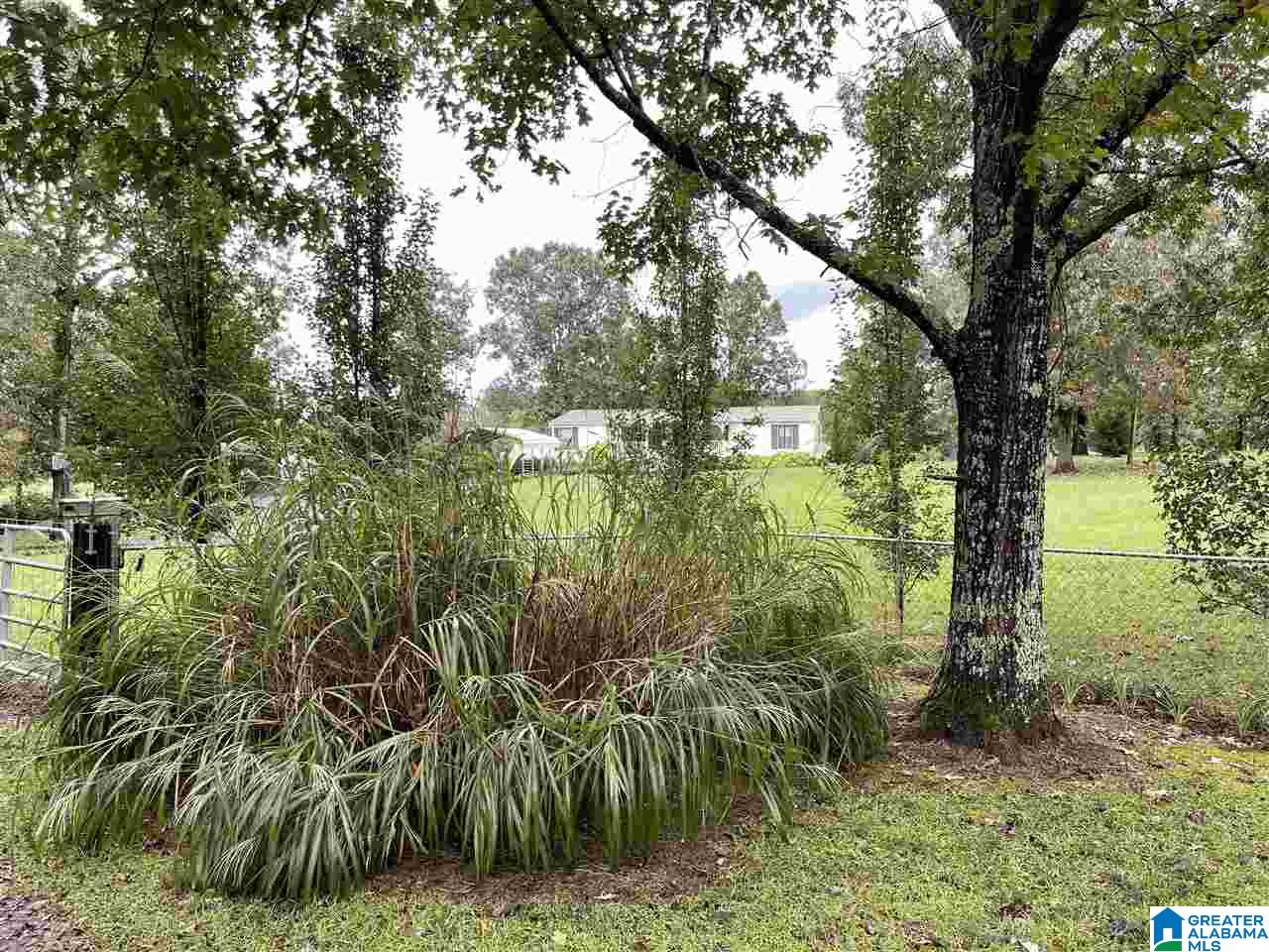 2588 Kirkseys Bend Ohatchee, AL 36271 - Photo 3 of 32