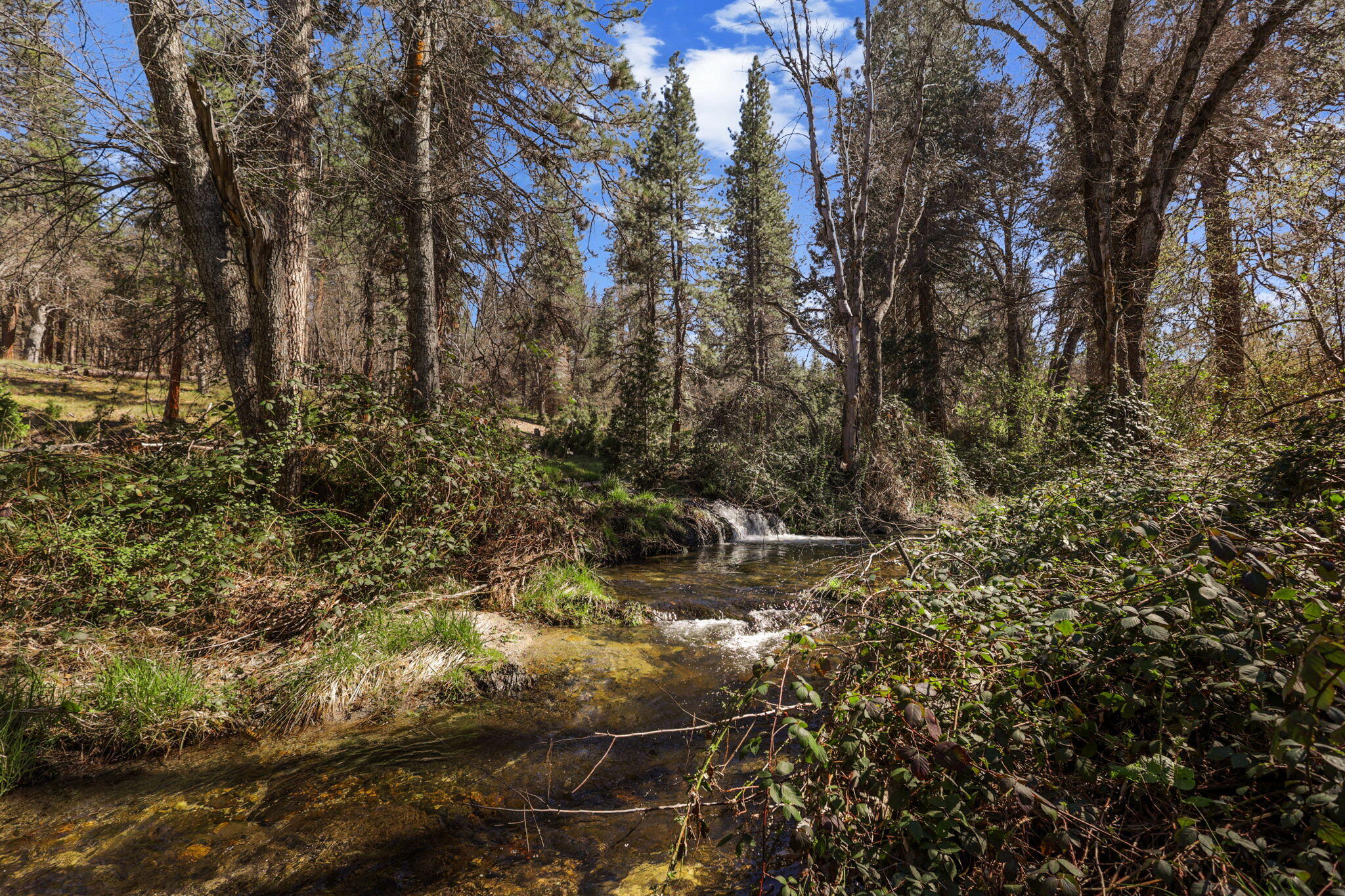 7530 Miners Creek Road Etna, CA 96027 - Photo 101 of 122 100-web-or-mls-LZ0A0711