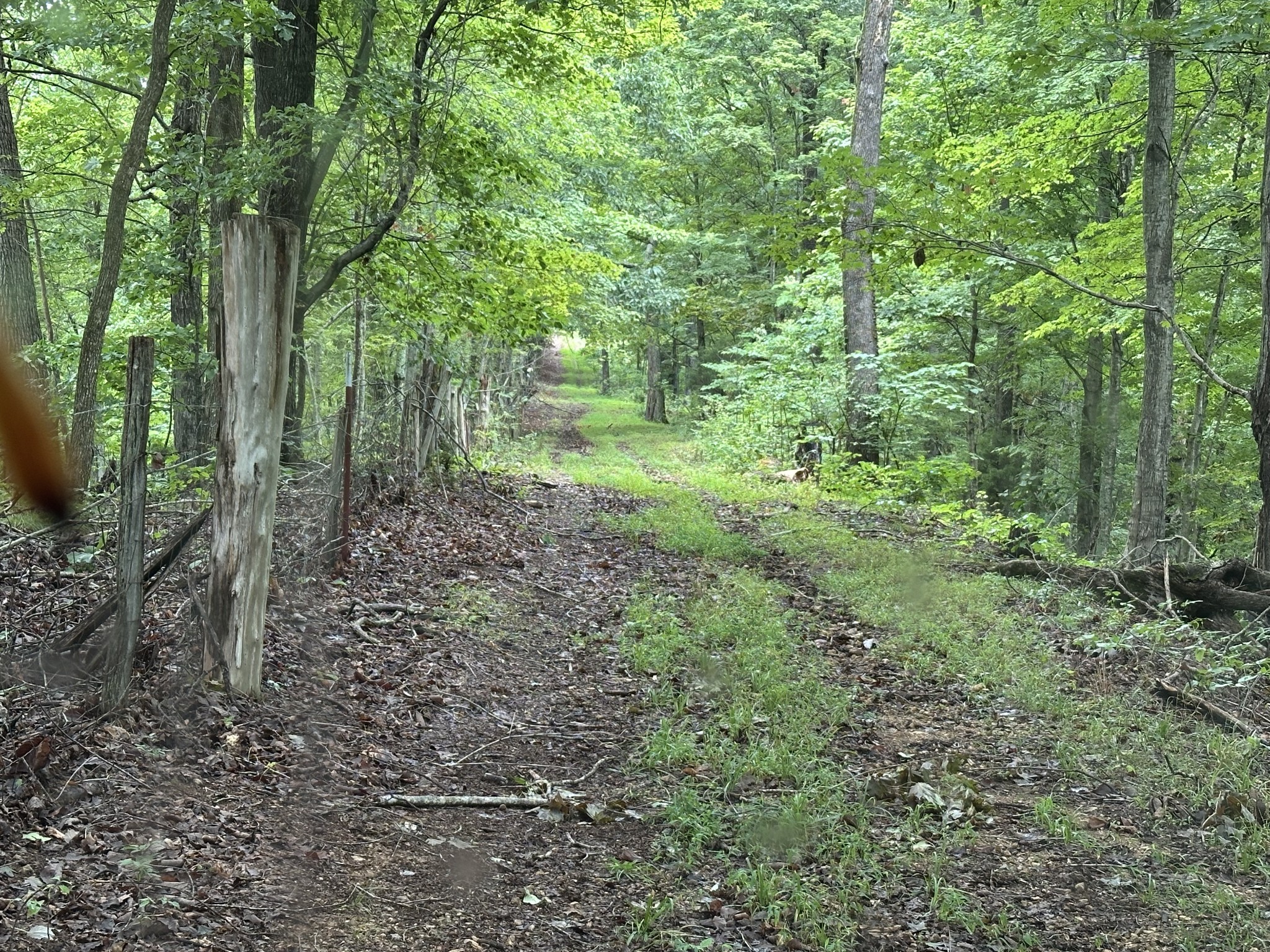 0 Pea Ridge Road Chestnut Mound, TN 38552 - Photo 10 of 20 Gallery Image 10