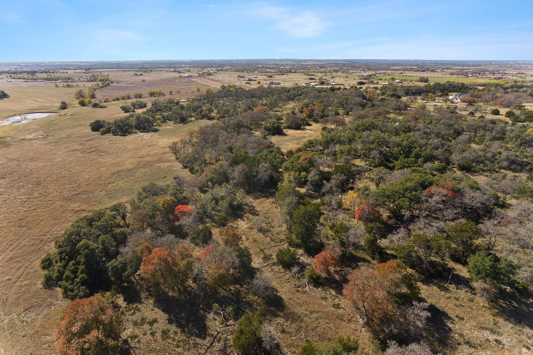 101 County Road 156 Georgetown, TX 78626 - Photo 6 of 11