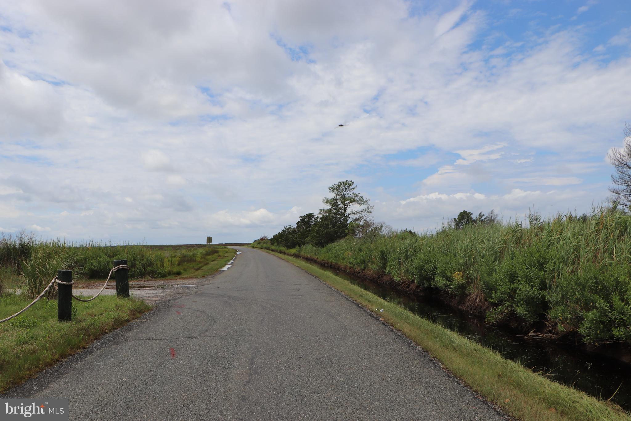 2846 Calvary Road Crisfield, MD 21817 - Photo 23 of 34 Road in front of house