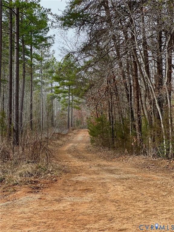 0 Ridge Road Powhatan, VA 23139 - Photo 5 of 5 View of woods and access road