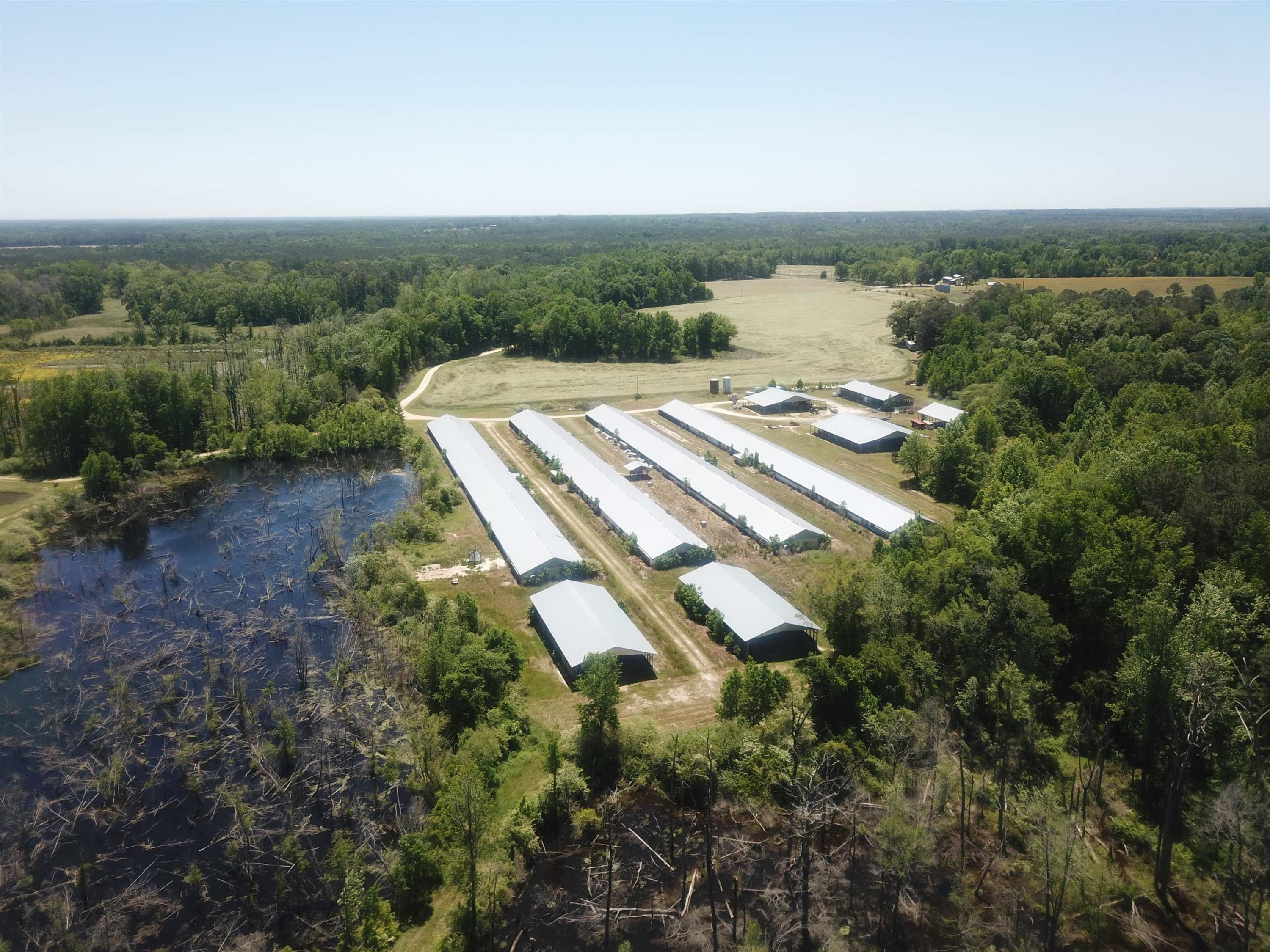 1643 McNeill Hobbs Road Bunnlevel, NC 28323 - Photo 7 of 29 Photo 7