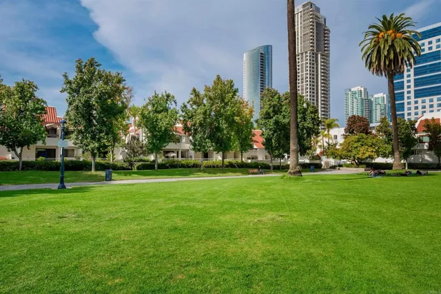 a view of a garden with a pathway