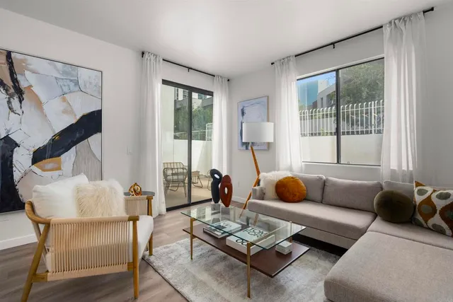 a view of a yard with plants and large trees