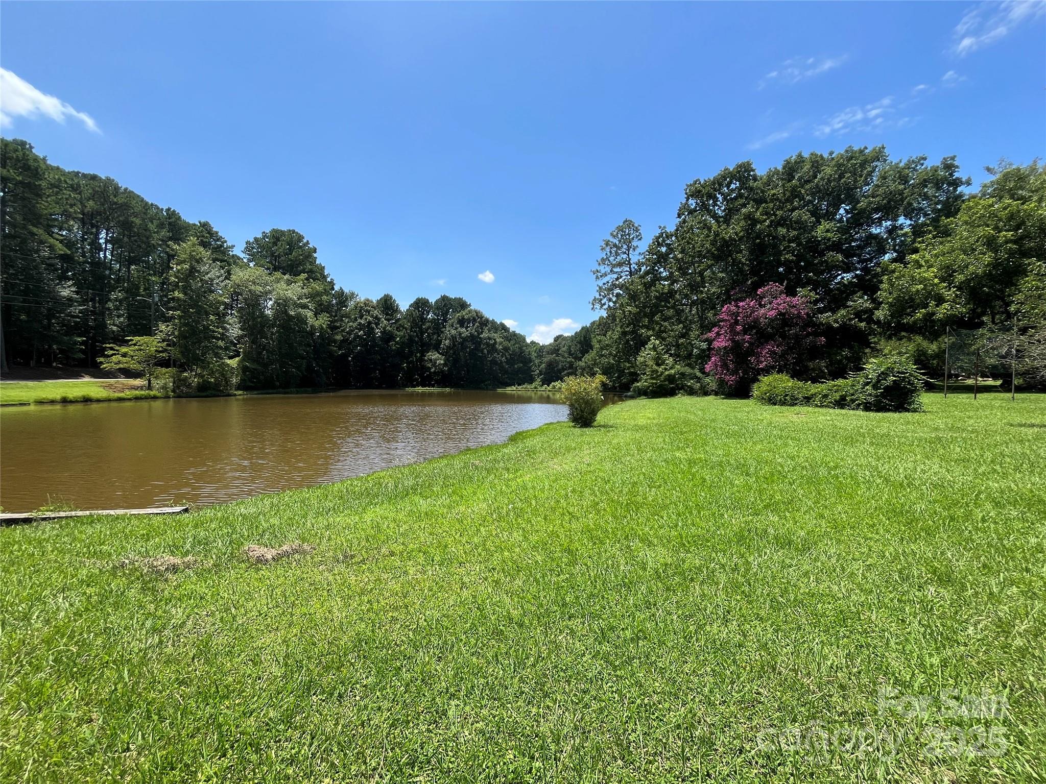 a view of a lake with a garden