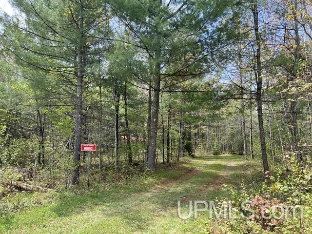 W8001 East Cataline Road Pembine, WI 54156 - Photo 26 of 27