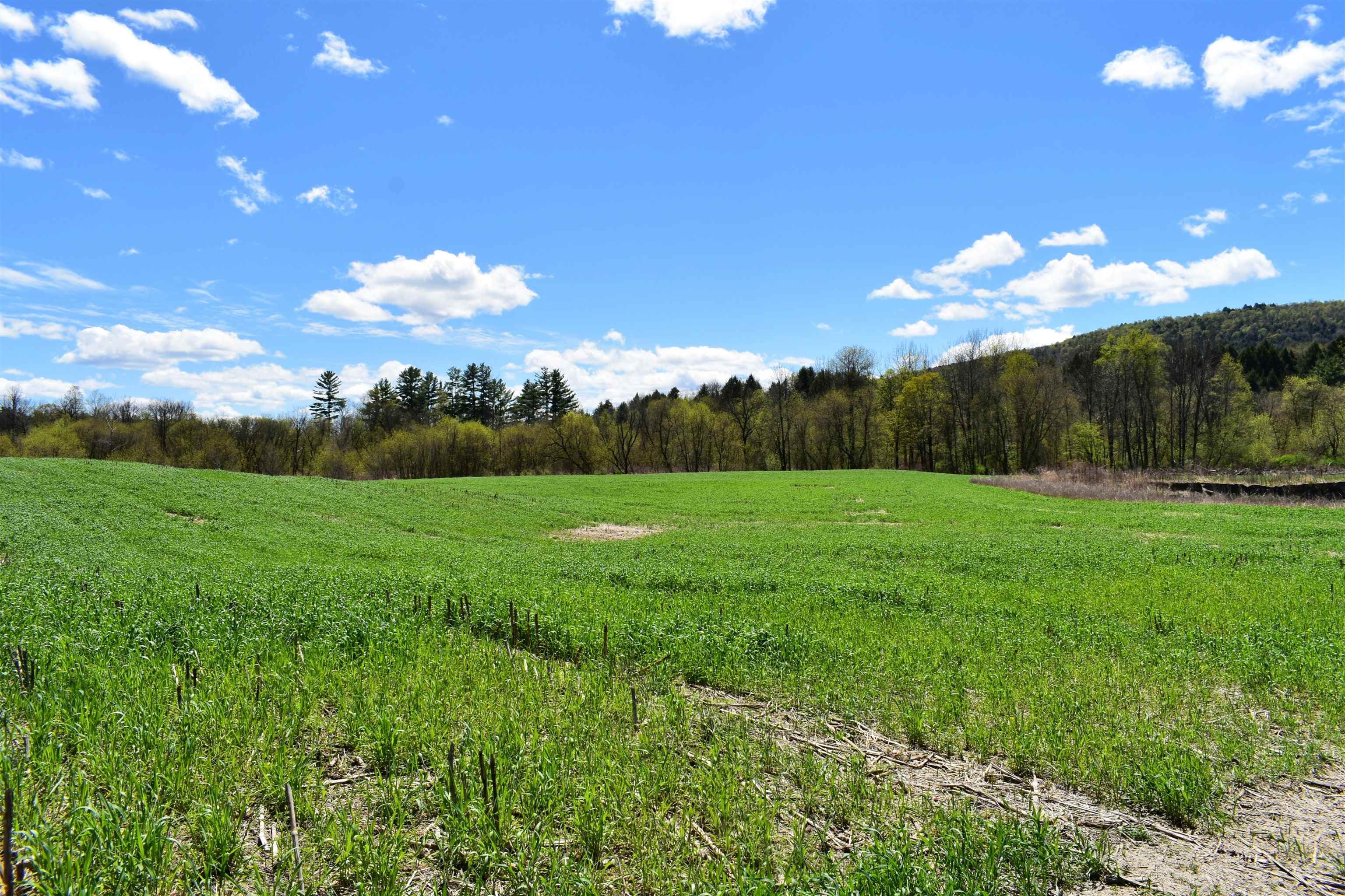 1850 Stock Farm Road, Unit 68 Randolph, VT 05060 - Photo 5 of 25